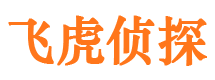 东湖市调查公司